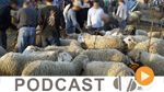 معرض الصحافة ليوم الثلاثاء 23 أوت 2016