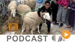 نبّار نيوز ليوم الجمعة 26 أوت 2016
