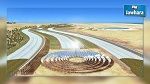 شركة نرويجية تخطط لتشجير مساحات شاسعة من الصحراء التونسية 