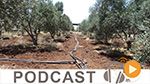 بزنس نيوز ليوم الثلاثاء 27 سبتمبر 2016