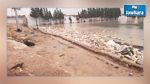 انهيار جزء من سور الملعب البلدي ببوحجر بسبب الأمطار الغزيرة