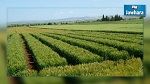 68 ألف هك من الأراضي الدولية الفلاحية تم الاستيلاء عليها