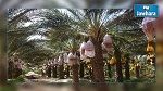 إجراء بتة 