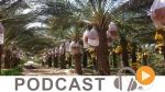 ماللخّر مع دليلة مصدَق ليوم الثلاثاء 11 أكتوبر 2016