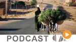 نشرة أخبار منتصف النهار ليوم الجمعة 14 أكتوبر 2016