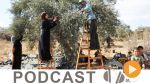  بزنس نيوز ليوم الثلاثاء 18 أكتوبر 2016