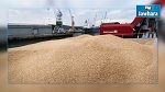 600 مليون دينار قيمة واردات تونس من الحبوب سنويا