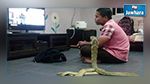 رجل يتزوج كوبرا عملاقة
