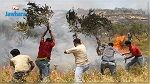 مشاعر مختلطة للفلسطينيين تجاه الحرائق الإسرائيلية 