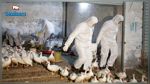 فرنسا ترصد إنفلونزا الطيور في مزرعة بط  