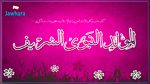 ألفة يوسف : ظاهرة 