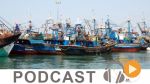 بزنس نيوز ليوم الثلاثاء 20 ديسمبر 2016