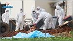 كوريا الجنوبية : الجيش يتدخل لذبح الملايين من الدواجن