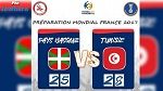 كرة اليد : المنتخب التونسي يفوز وديا أمام منتخب الباسك