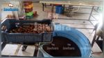 تونس الكبرى : غلق 20 محلاّ لصنع الحلويات والمرطبات 