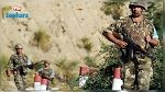 الجيش الجزائري يقضي على إرهابيَيْن و يلقي القبض على اثنين آخرين