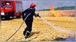 بنزرت : حريق هائل يلتهم 10 هكتارات من القمح