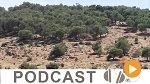 نشرة أخبار السابعة مساء ليوم الجمعة 2 جوان 2017