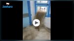 تسرّب مياه الأمطار إلى مستشفى القصاب (فيديو)