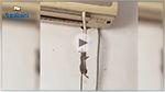 فيديو : ثعبان يخرج من مكيف هوائي  !