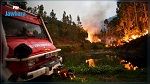 مقتل 62 شخصا جراء الحرائق في البرتغال