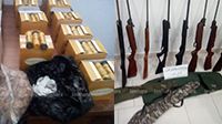  المهدية : حجز بنادق صيد وخراطيش دون رخصة