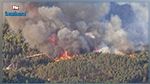 اندلاع حريق في مرتفعات تالة
