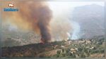 الجزائر : وفاة شخصين في حريق بجبال سكيكدة