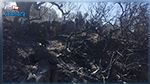 القيروان : السيطرة على حريق جبل السرج