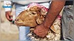 المسلخ البلدي طريق الزاوية سوسة : لذبائح العيد واجراء المراقبة البيطرية