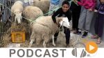 كلام قياس ليوم الجمعة 25 أوت 2017