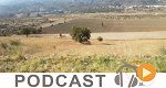 نشرة أخبار السابعة مساء ليوم الإثنين 23 أكتوبر 2017