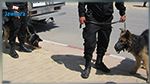 المدير الجهوي للحماية المدنية بقابس : فرقة الأنياب تشارك في عملية البحث عن معتمد مطماطة الجديدة