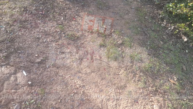 20150220_085218.jpg