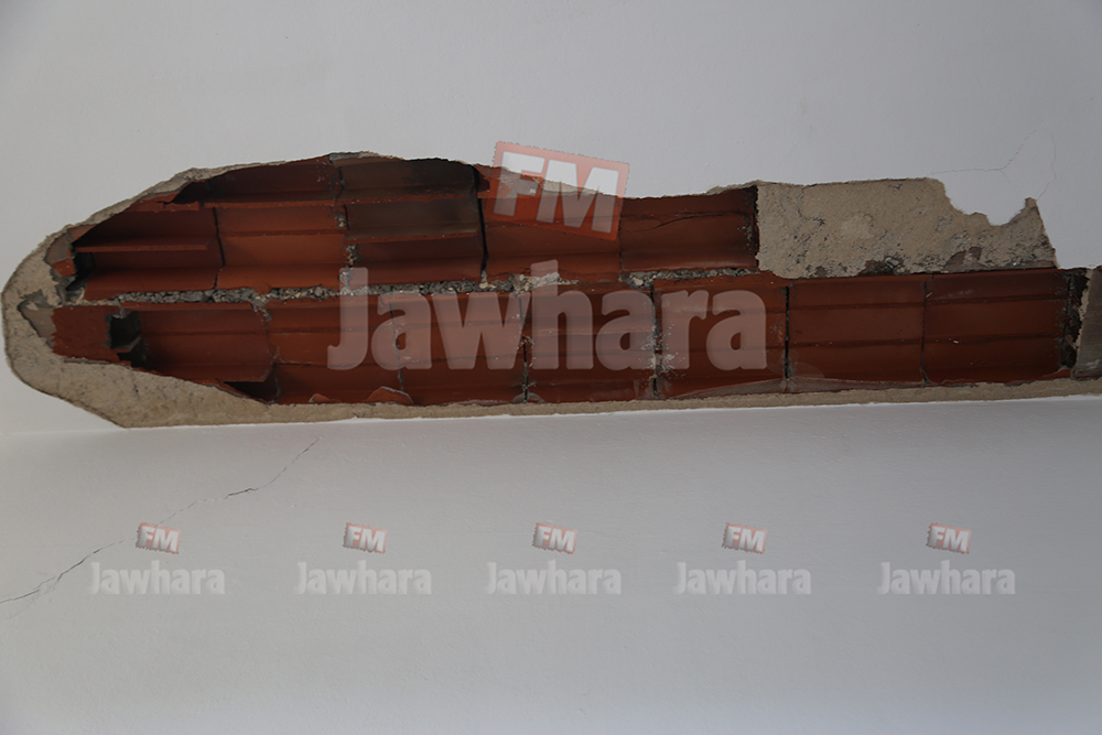 110A8037.JPG
