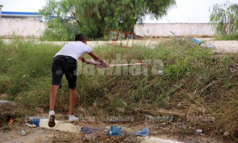 sahloul 4 04-10-2015 10-17.JPG