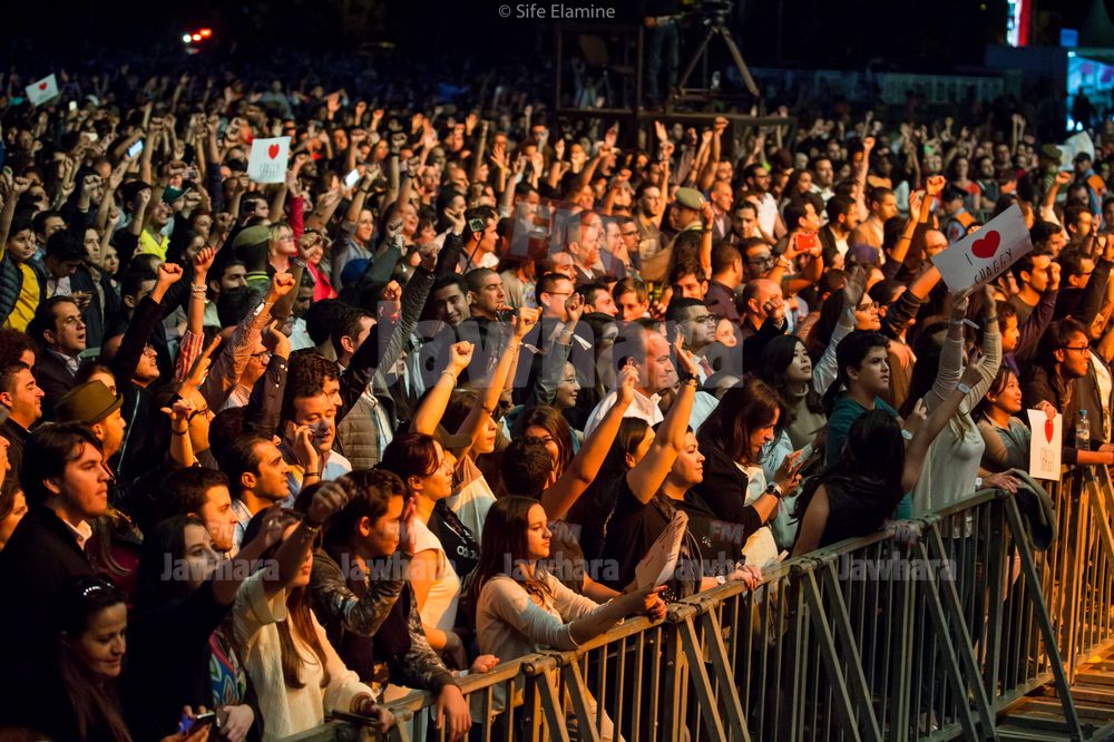 MW16.OLM.Shaggy.25.05©Sife.Elamine.Pd-117.jpg