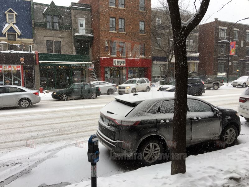 canada 26 13-02-2017 10-12.JPG