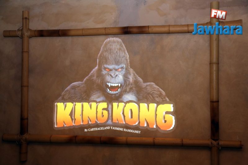 king18-03-2018 3-47-53 PM CET 15.jpg