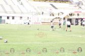 IMG_8518.JPG