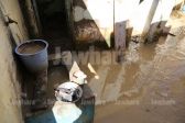 110A0808.JPG
