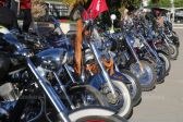 hard rock 40 20-02-2016 19-46.jpg