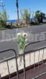 msaken 3 16-07-2016 10-56.jpg