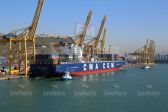 Viranda 86 14-04-2017 17-26.JPG