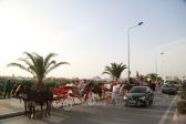special  mouled30-11-2017 6-42-58 PM CET 38.JPG