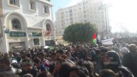 gafsa 01.jpg