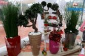 Viranda 22-12-2017 1-02-16 PM CET 8.jpg