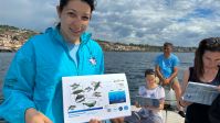 Dolphin depredation project in Catania, Sicily with Marecamp_©GFCM_Claudia Amico.jpg