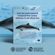 over of the GFCM publication promoting cetacean-free turbot fisheries in the Black Sea.png