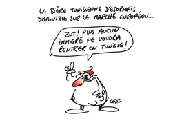 caricature du 17-06-2013